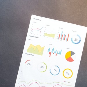 Dokument s různými typy grafů a diagramů, jako jsou čárové grafy, sloupcové grafy a koláčové diagramy.